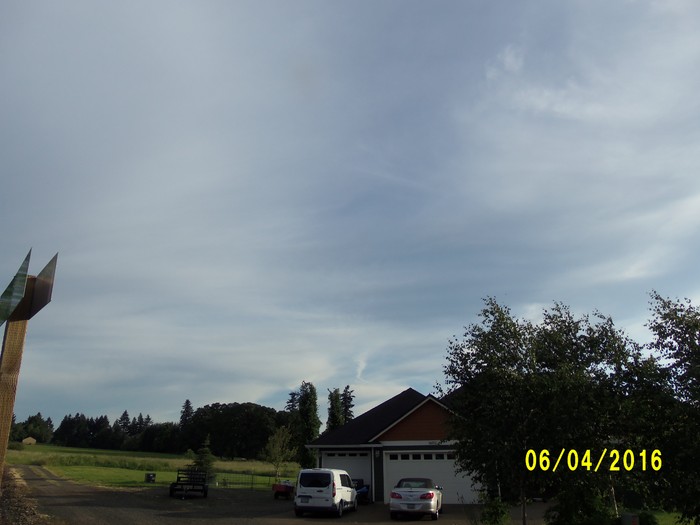 100_0867.JPG