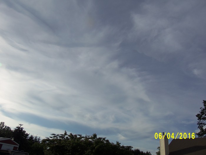 100_0868.JPG