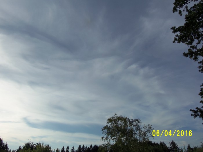 100_0870.JPG