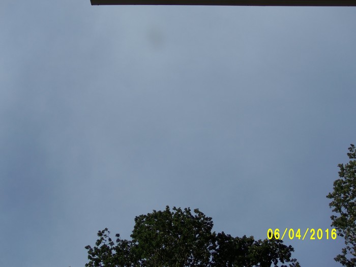 100_0871.JPG