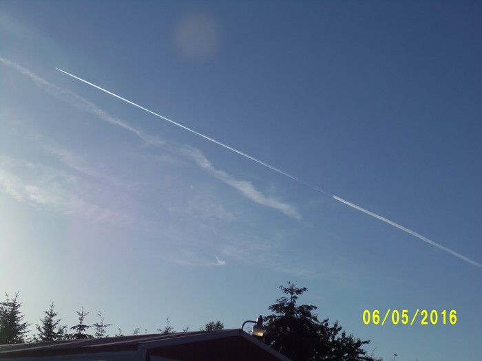 100_0873.JPG