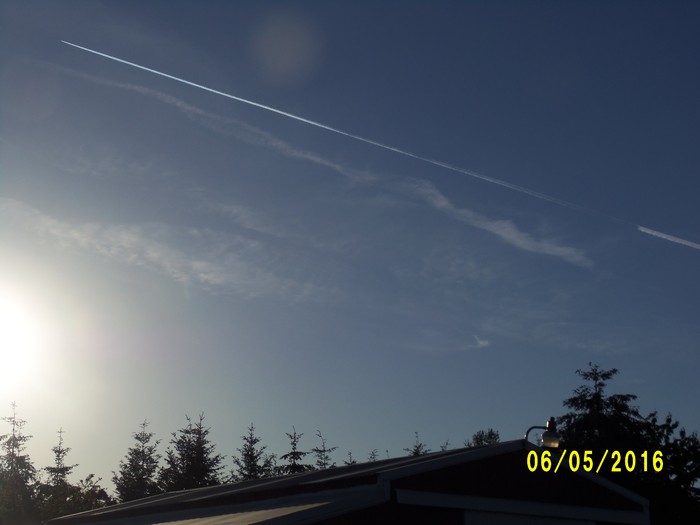 100_0874.JPG