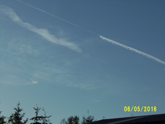 100_0876.JPG