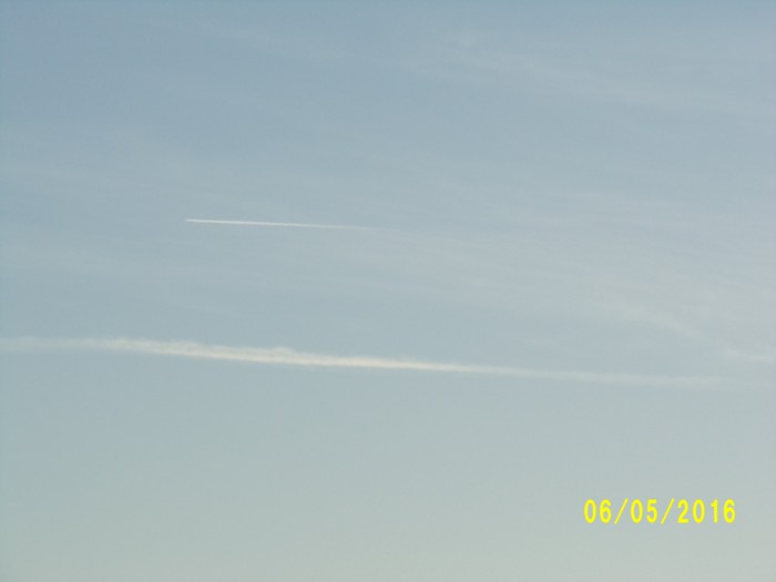 100_0877.JPG