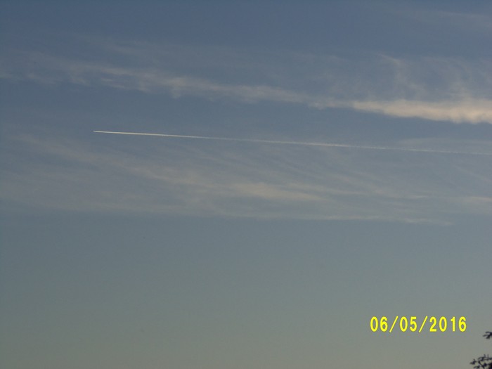 100_0879.JPG