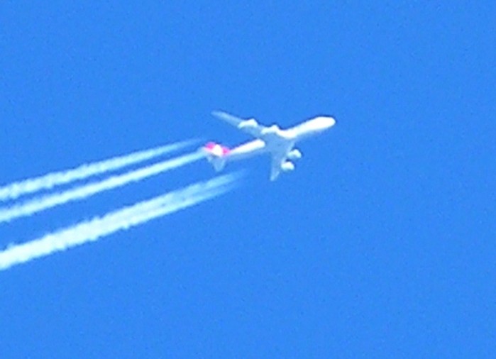 test71.JPG