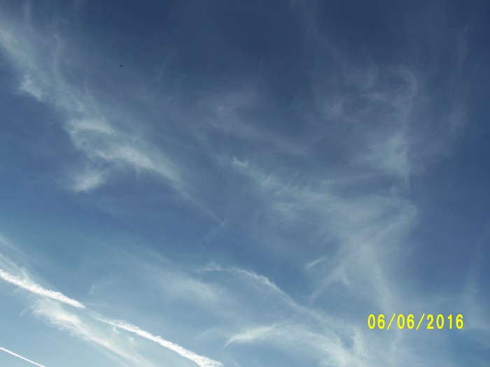 100_0909.JPG