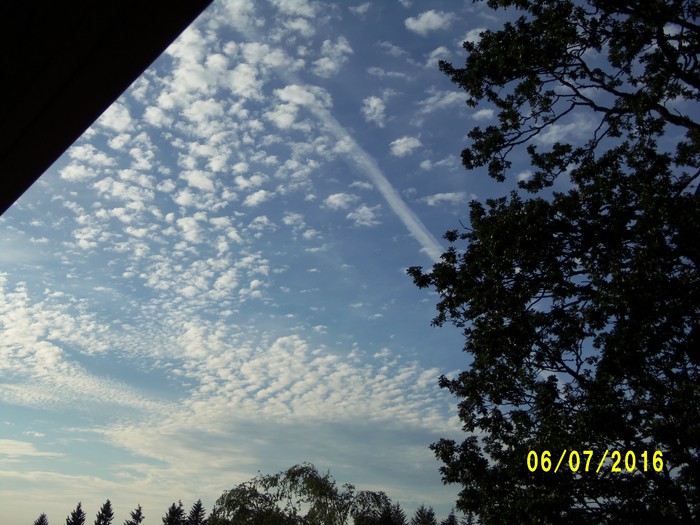 100_0919.JPG