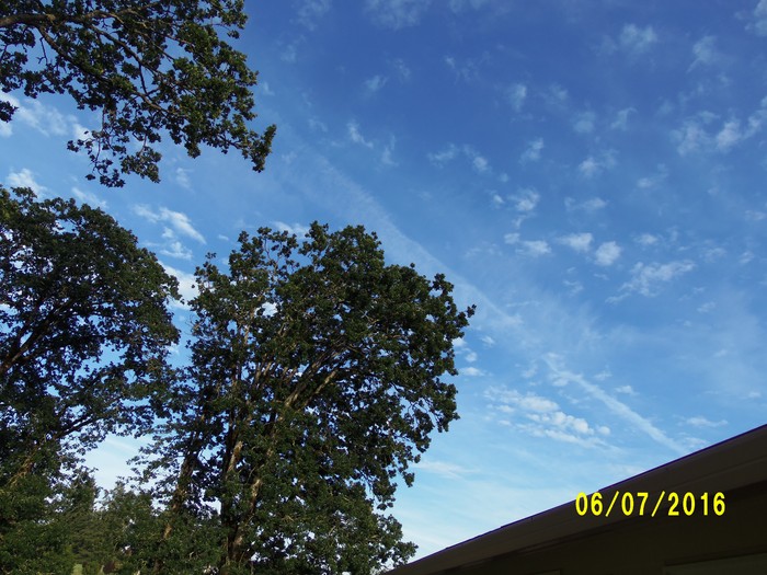 100_0920.JPG