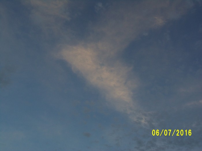 100_0923.JPG