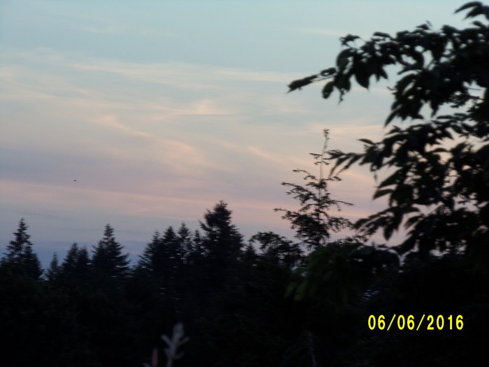 100_0915.JPG