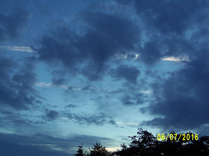 100_0922.JPG