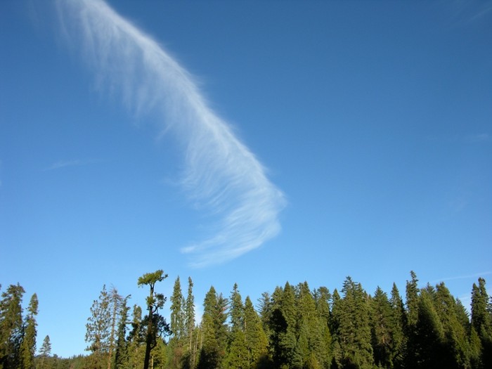 test75.JPG