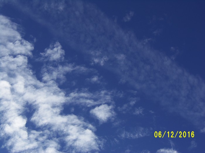 100_0933.JPG