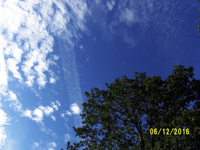 100_0934.JPG