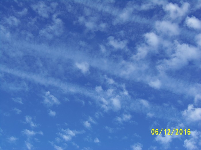 100_0939.JPG