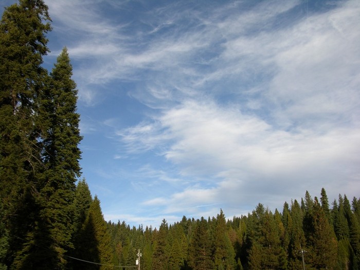 80.JPG