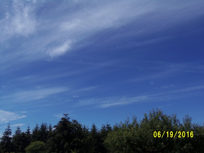 100_0953.JPG