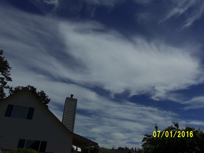 100_0981.JPG