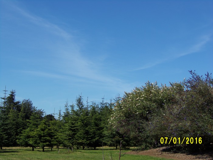 100_0987.JPG