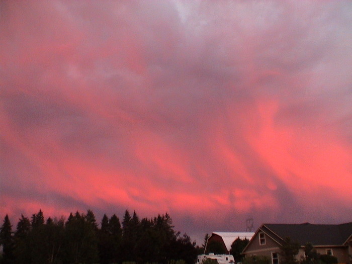 DSC01297.JPG
