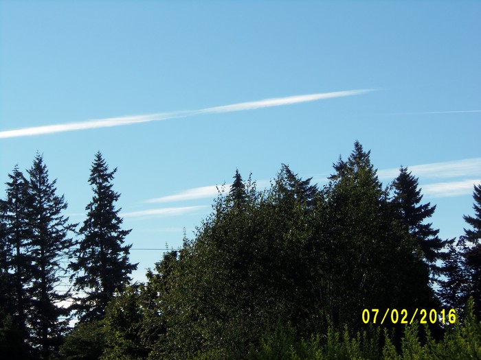 100_1001.JPG