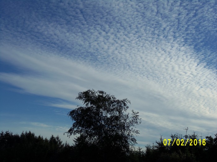 100_1003.JPG
