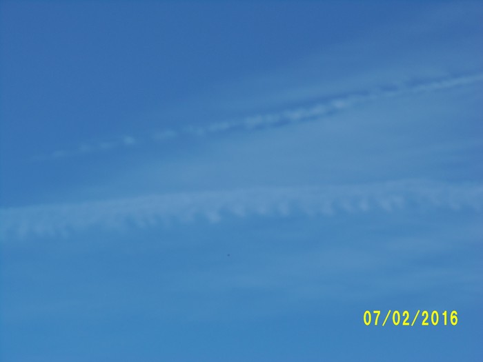 100_1005.JPG