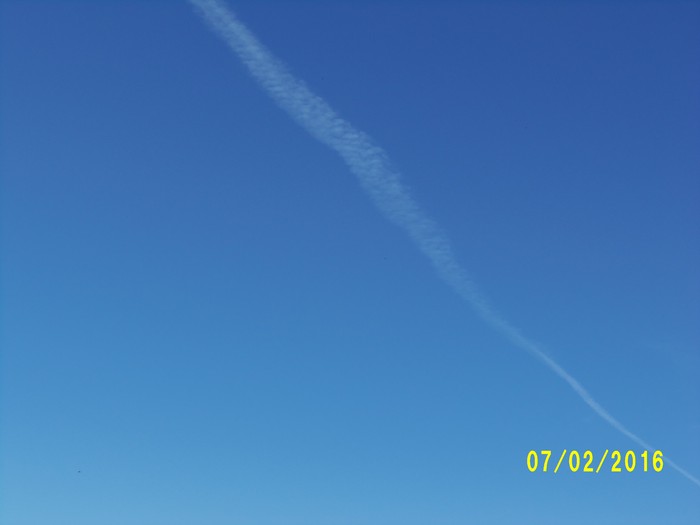 100_1006.JPG