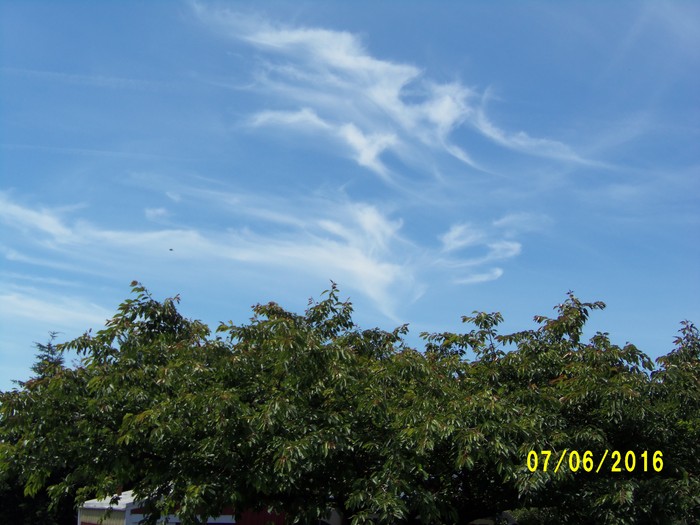 100_1022.JPG
