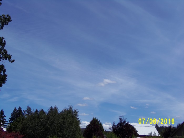100_1023.JPG