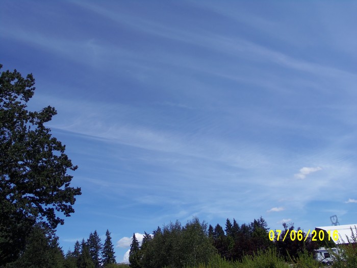 100_1024.JPG