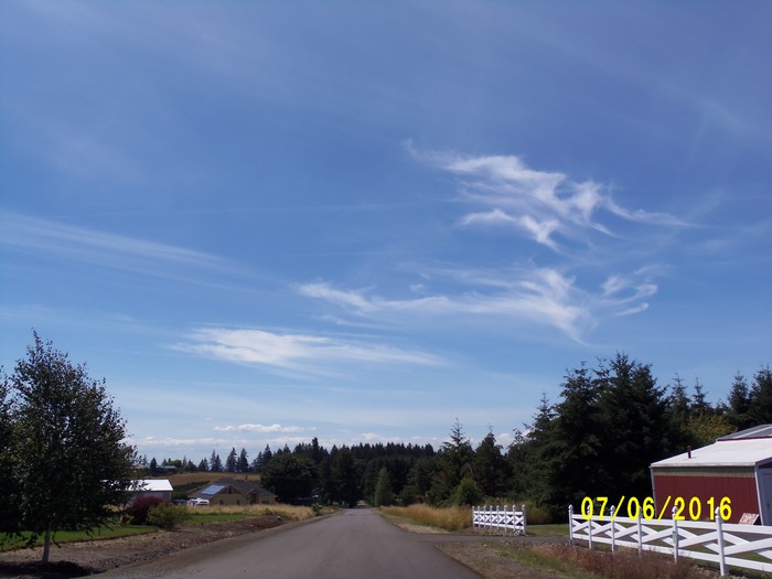 100_1025.JPG