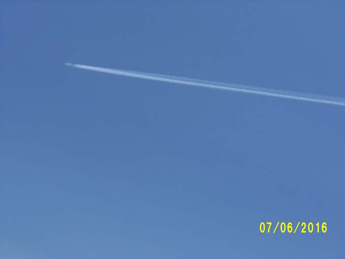 100_1027.JPG