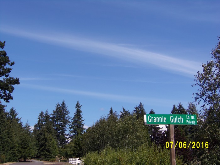 100_1030.JPG