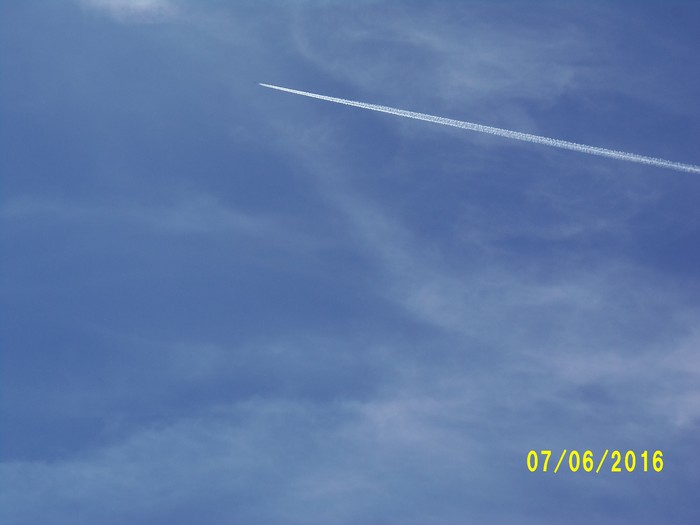 100_1033.JPG