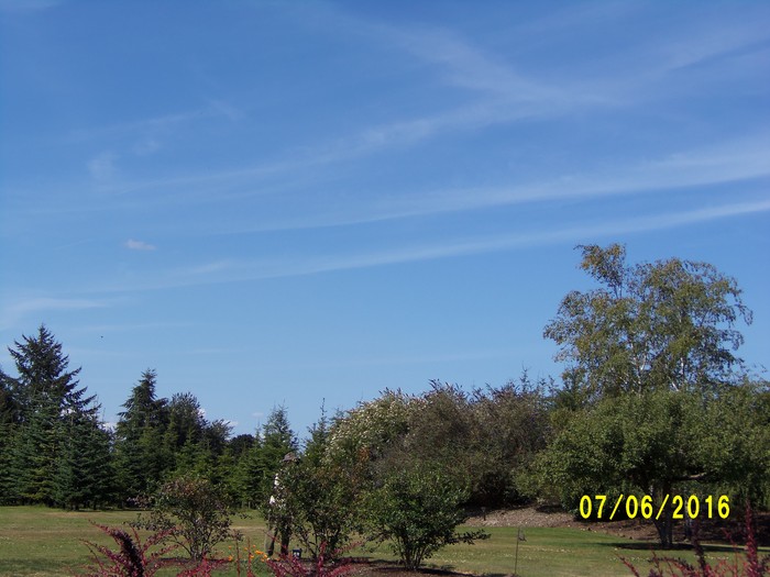 100_1034.JPG