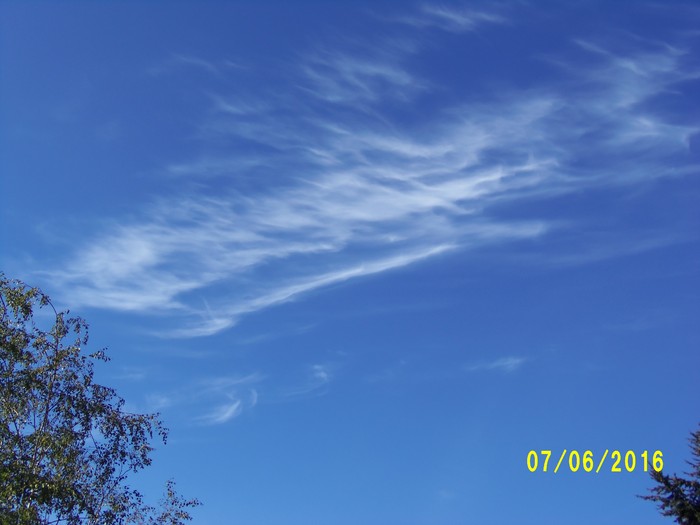100_1035.JPG