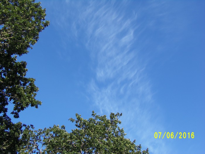 100_1036.JPG