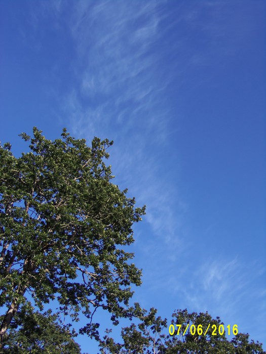 100_1037.JPG