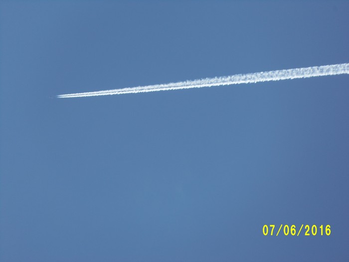 100_1040.JPG