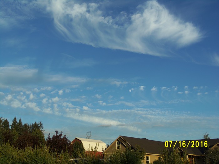 100_1045.JPG