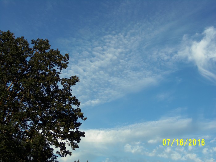 100_1046.JPG