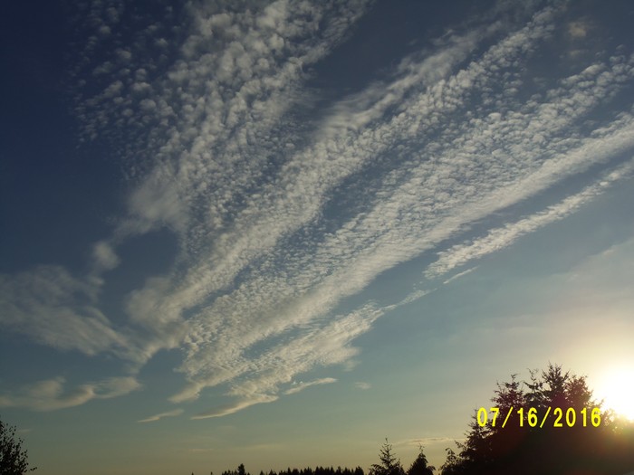 100_1047.JPG