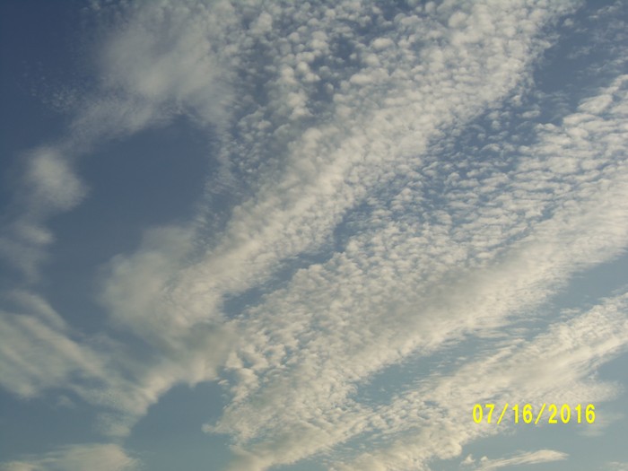 100_1048.JPG