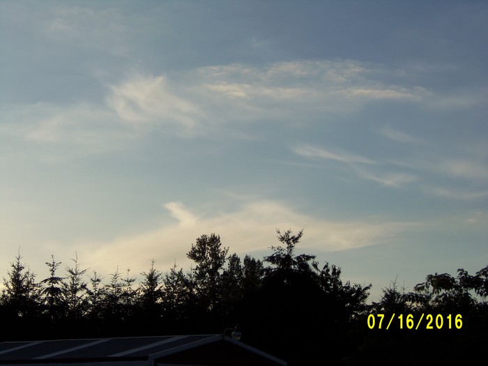 100_1050.JPG