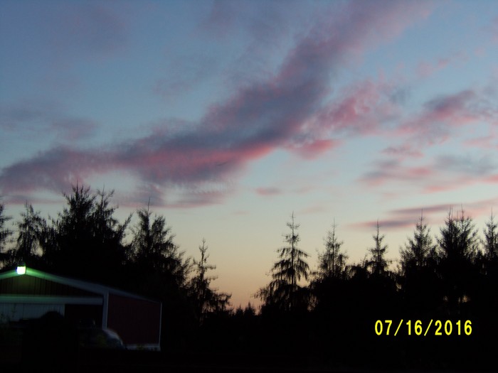 100_1053.JPG