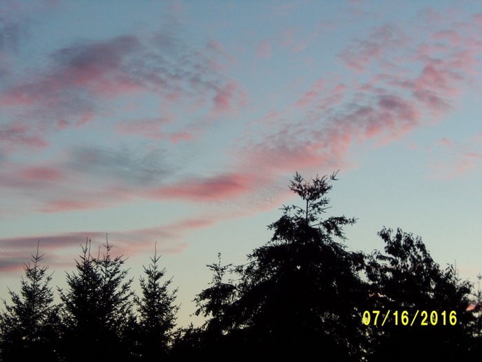 100_1054.JPG