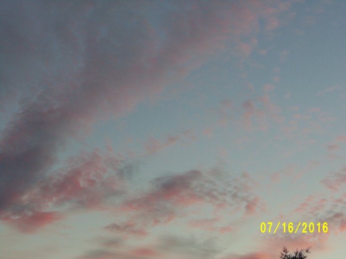 100_1055.JPG