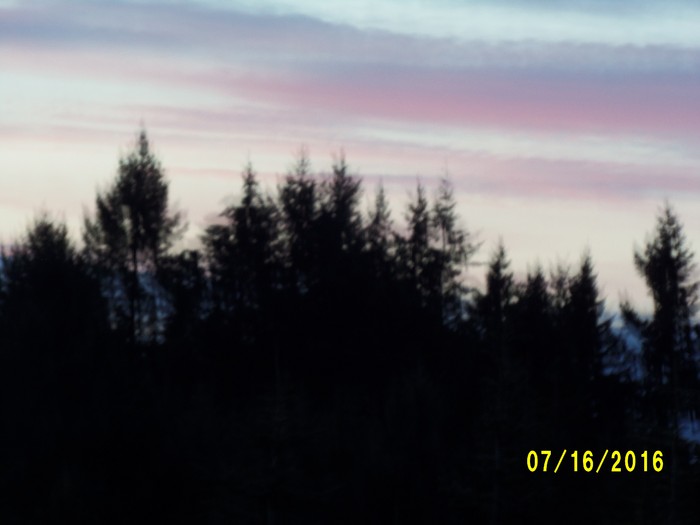 100_1056.JPG